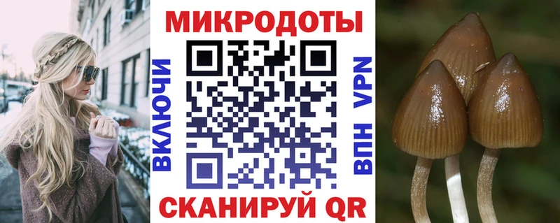 наркота  Киров  Галлюциногенные грибы мухоморы 