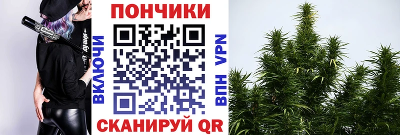 Бошки Шишки гибрид  Киров 